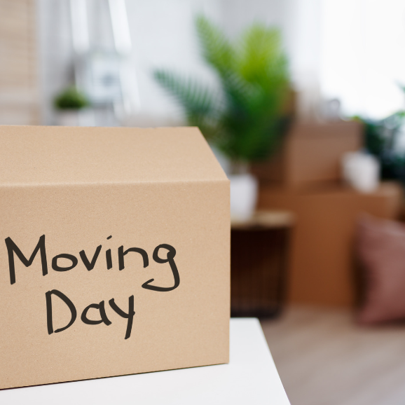 Architecte d'intérieur après achat de maison sur Monteux dans le Vaucluse 